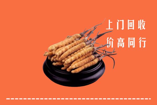 高价求购：阜阳市颍上回收散虫草