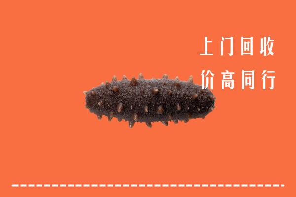 高价求购：阜阳市颍上回收海参