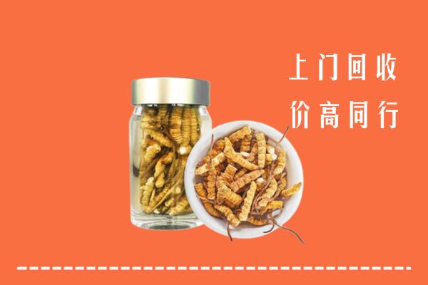 阜阳市颍上高价回收冬虫夏草