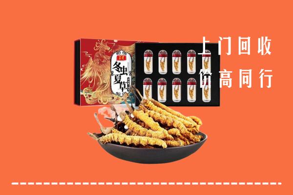 阜阳市颍上回收虫草
